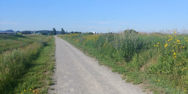 Route verte de Rivière-Ouelle à Saint-Roch-des-Aulnaies